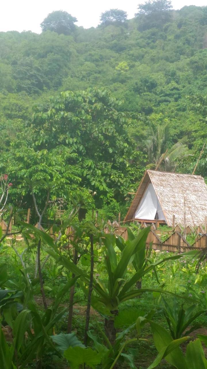 Plumeria Eco-Resort El Nido Room photo